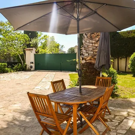 Pet Friendly In Pignan